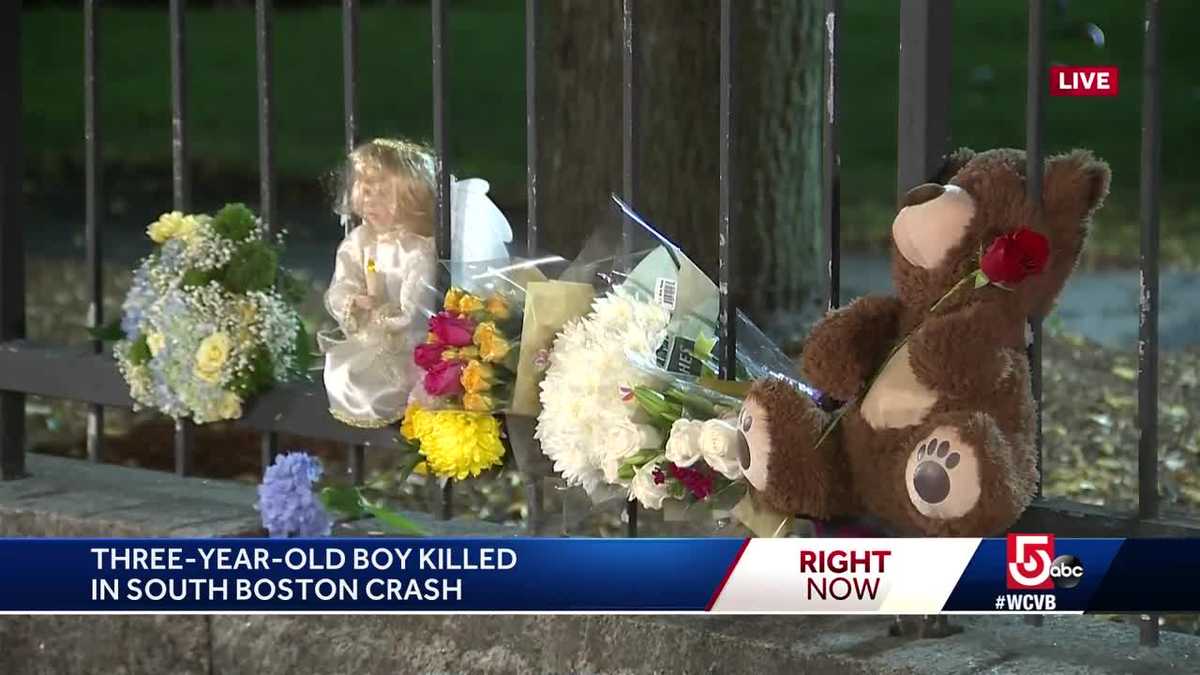 3-year-old boy killed in South Boston crash