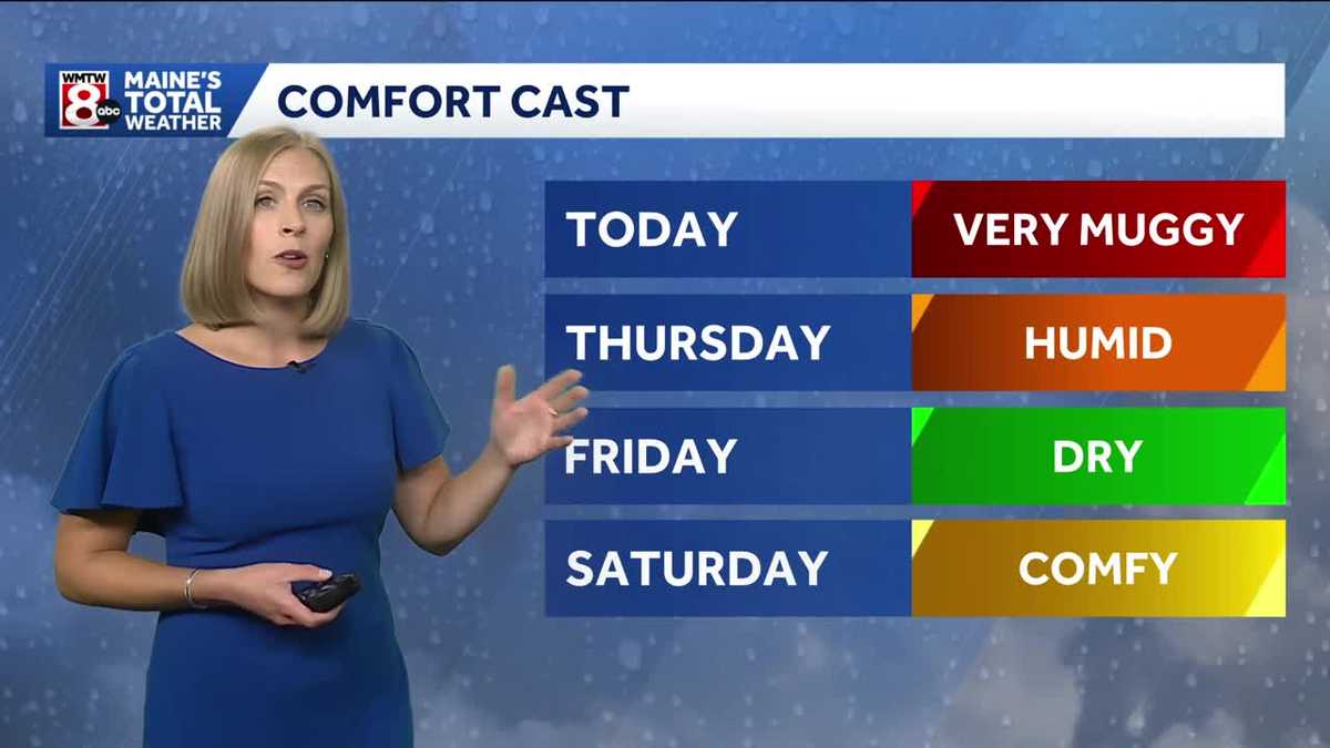 Muggy with a stray shower possible