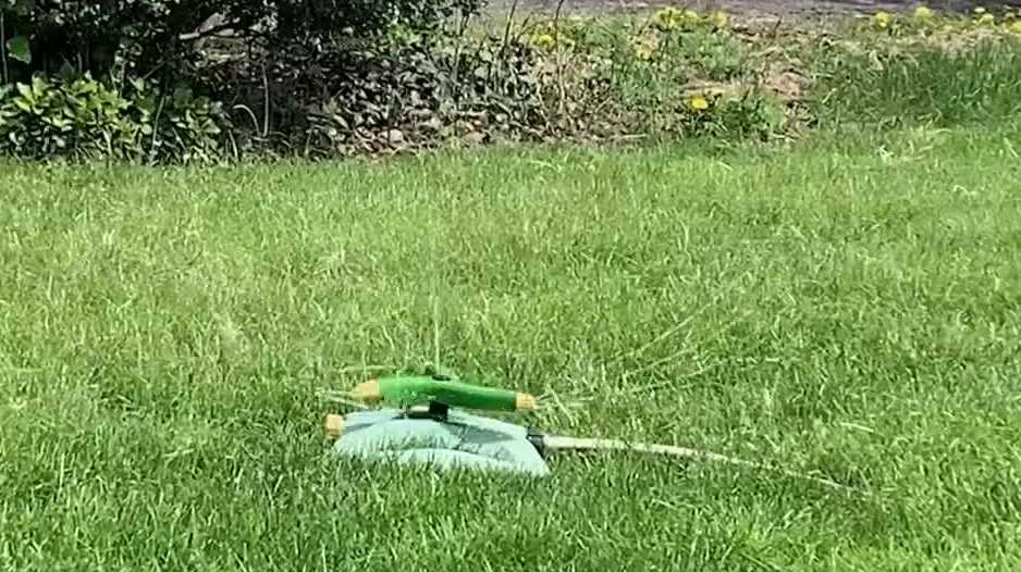 Water-saving tips for your lawn and garden | Consumer Reports