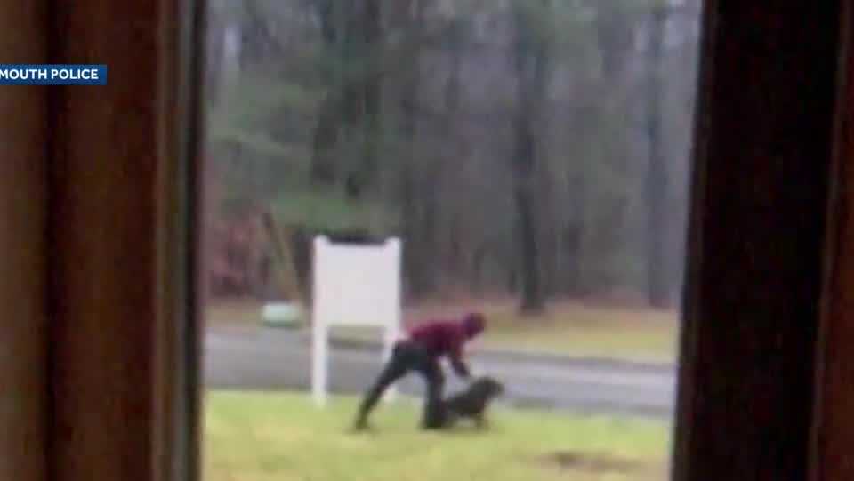 Police Video shows Portsmouth man abusing dog