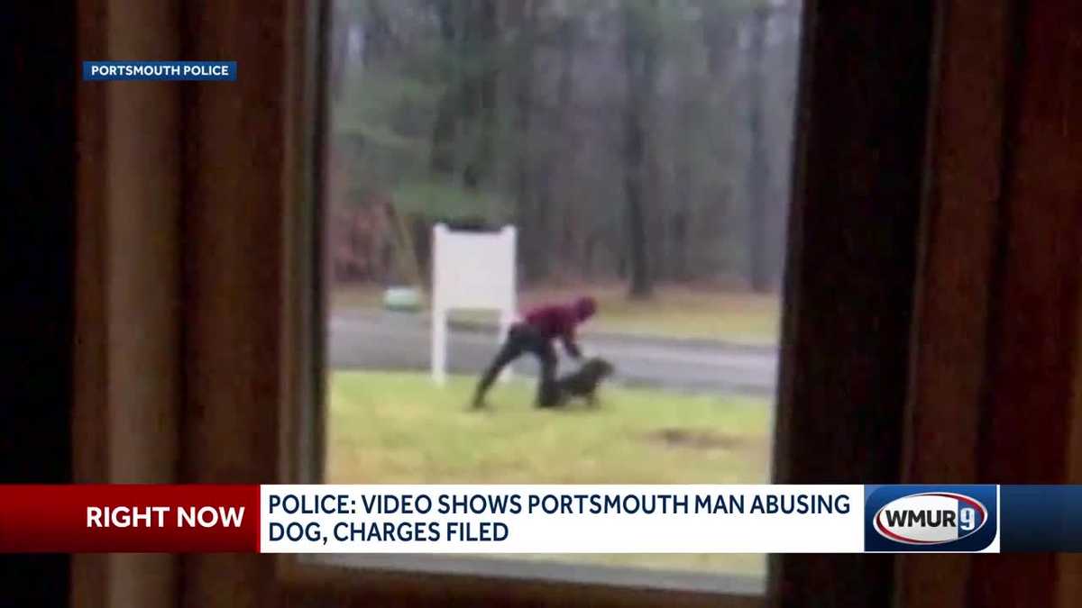 Portsmouth police Video shows man abusing dog