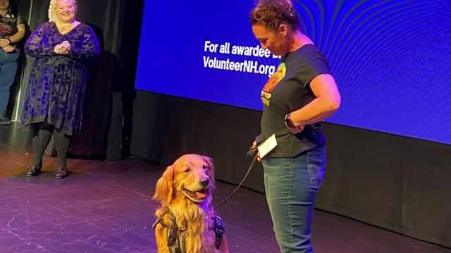2023 Spirit of New Hampshire Awards held in Concord - Vimarsana News