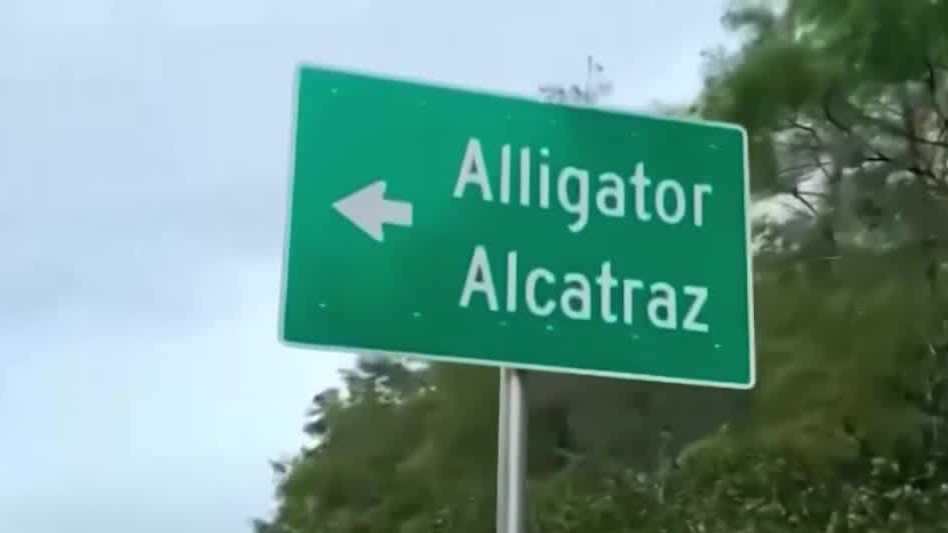 Florida congressman says 'Alligator Alcatraz' operations are winding down