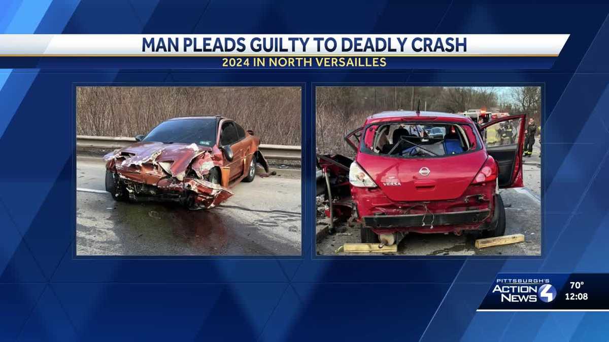 Man pleads guilty to involuntary manslaughter in North Versailles crash