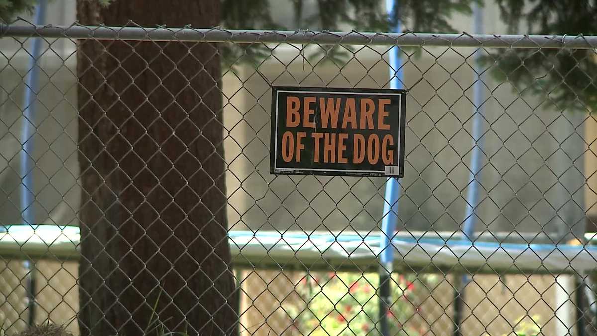 Omaha dog attack seriously injures 2 people