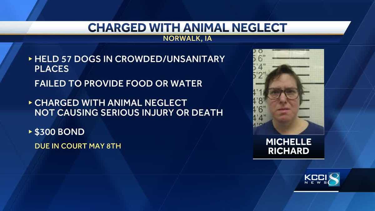 Norwalk woman charged with animal neglect after nearly 60 dogs, cats ...