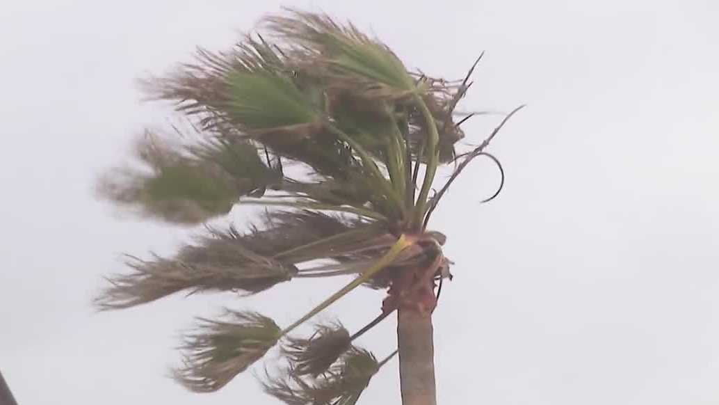 Officials warn of dangerous surf now, rip currents this weekend in New ...