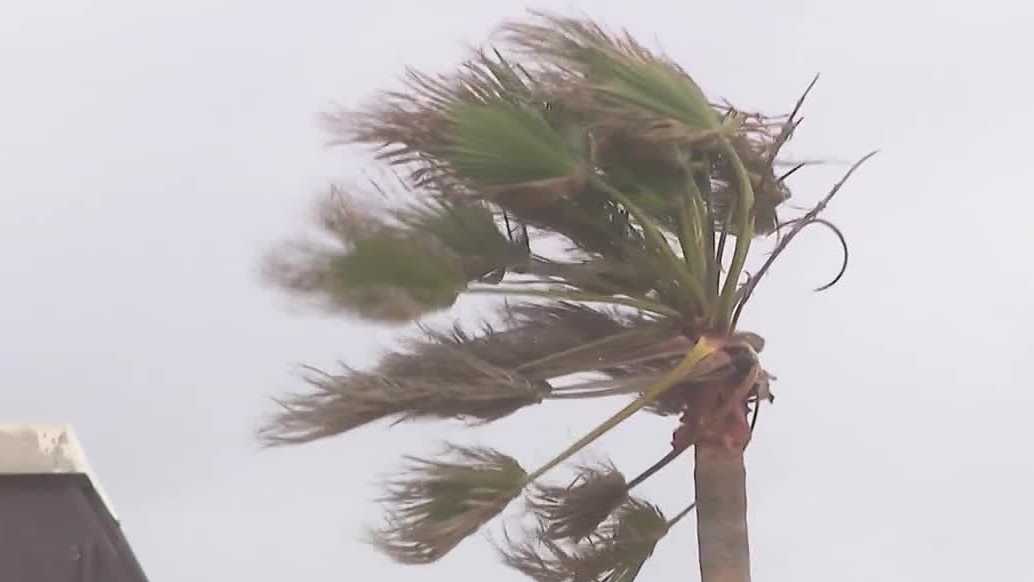 Dangerous surf and rip current warning in New Smyrna Beach could affect Edgewater beachgoers this weekend