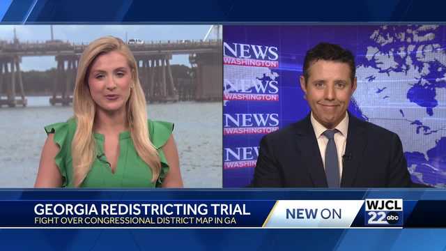 A look at Georgia's ongoing redistricting trial - Vimarsana News