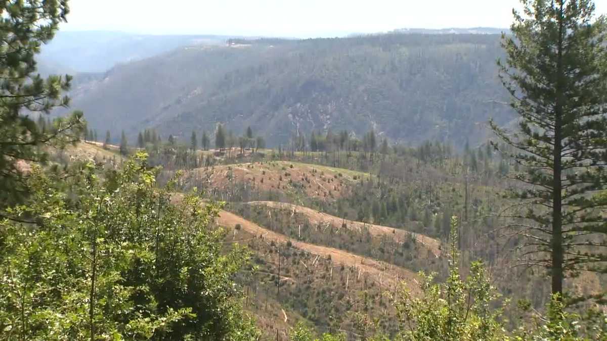 Placer County earns wildfire prevention recognition, offering potential insurance discount