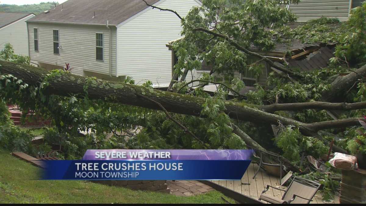 Tree falls onto house in Moon Township during storm