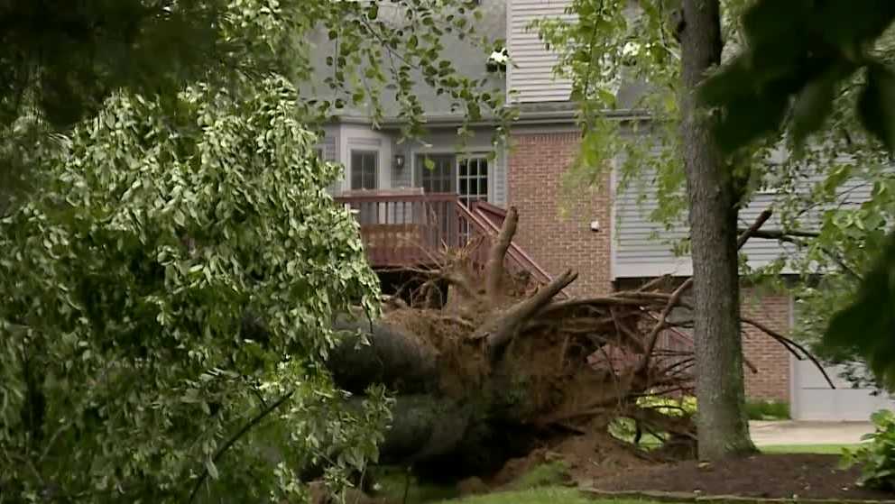 LMPD Person believed to be killed by falling tree near Anchorage WLKY Louisville LMPD Person believed to be killed by falling tree near Anchorage WLKY Louisville