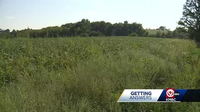 Ray County commissioners to consider purchasing 27 acres - Vimarsana News