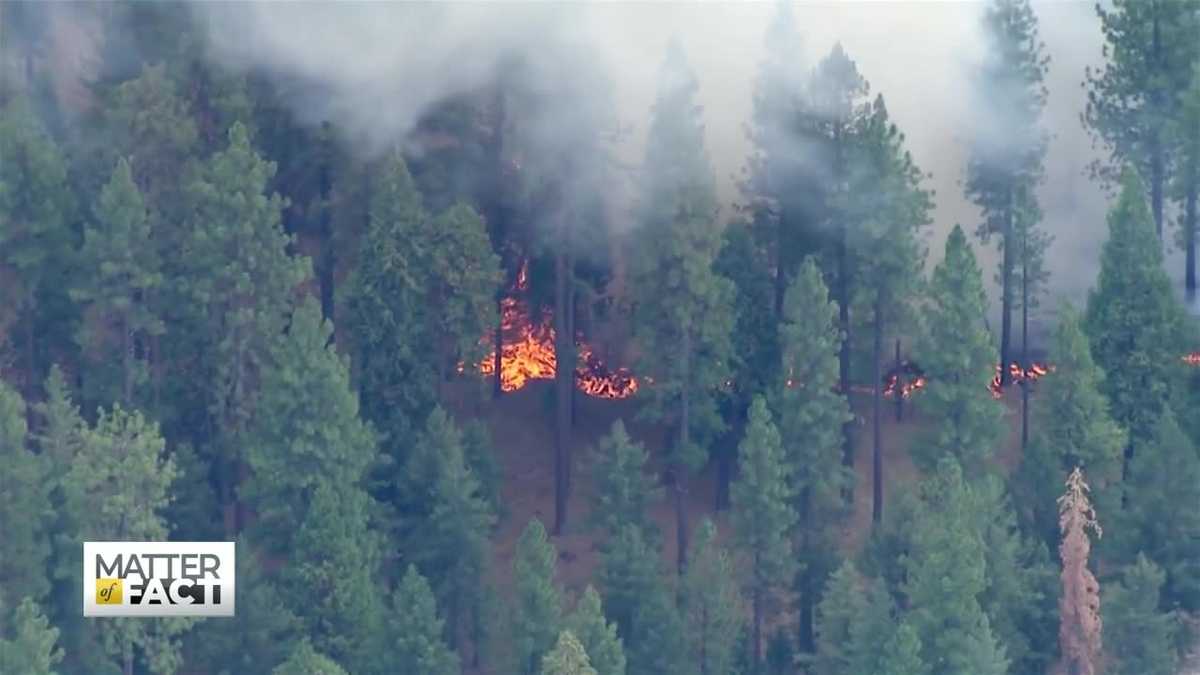 “Code Red” Warning About The Future of Climate Change