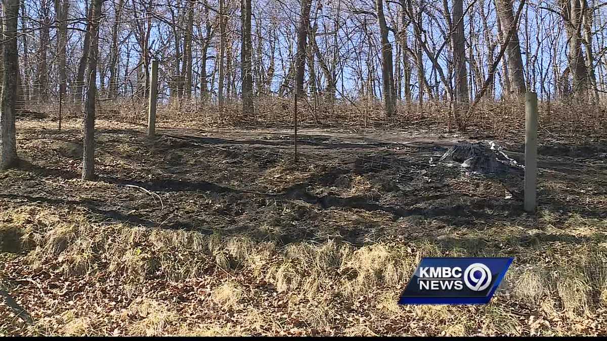 Neighbors suspicious after burned car with body inside found in east KC