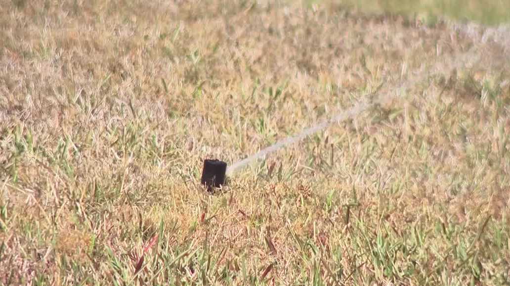 Water restrictions in north Cape Coral lead to code violations