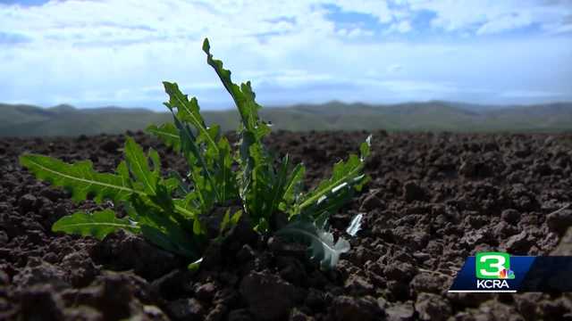 Bureau of Reclamation announces water allocations for California farmers - Vimarsana News