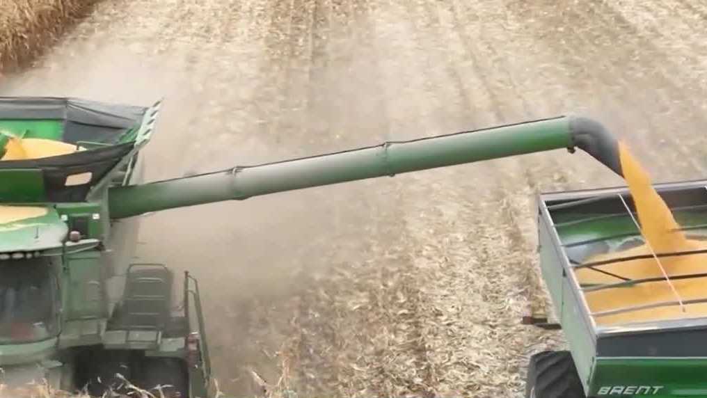 Government funding deal restores key USDA programs as Iowa farmers push for long-term fix