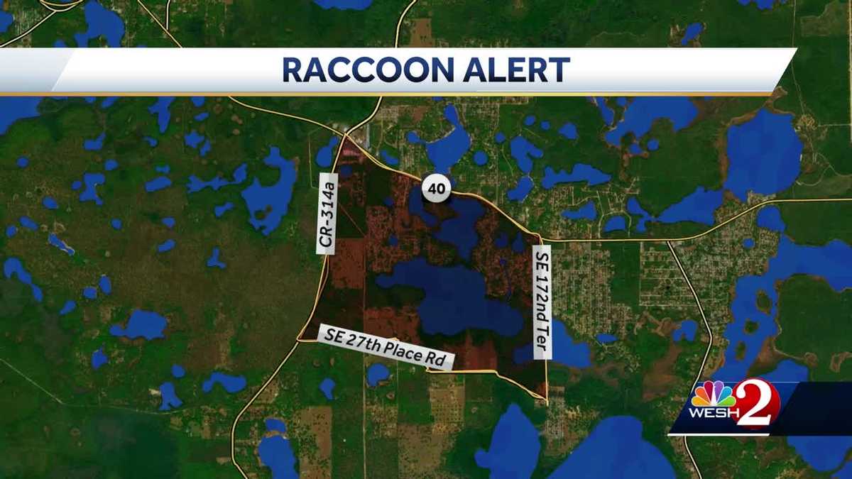 Rabies alert in effect for parts of Central Florida