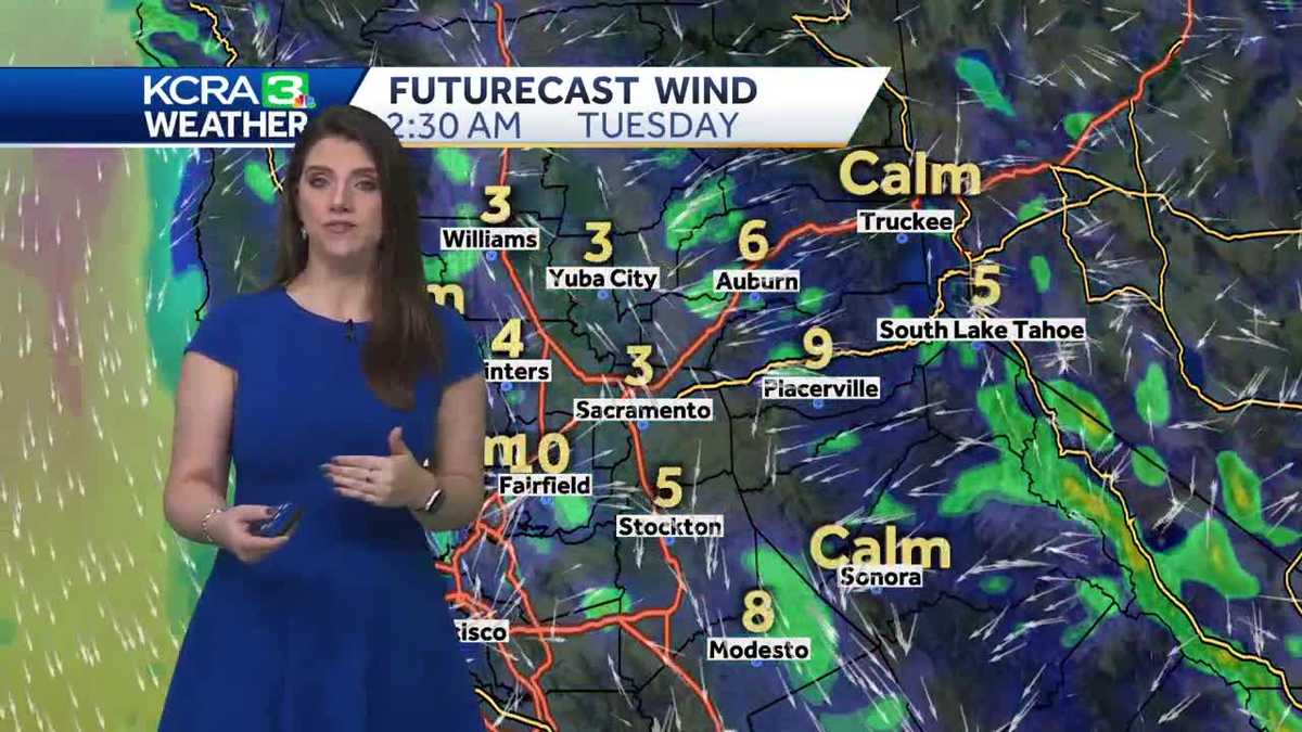 Sunny and Seasonable for Labor Day