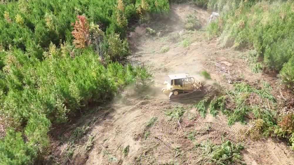 Calera landowner fights Alabama Power transmission line - WVTM