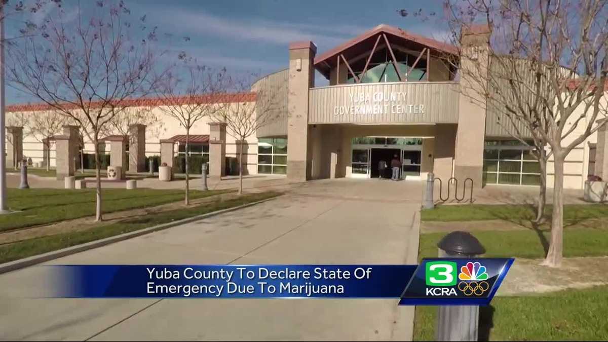 Emergency? Yuba County overwhelmed by illegal pot grows