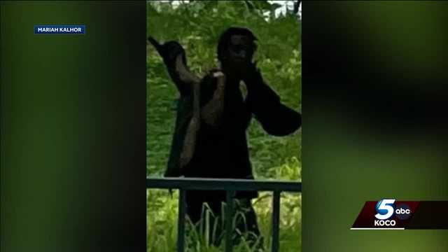 Urgent search underway for suspect who may be armed in Norman - Vimarsana News