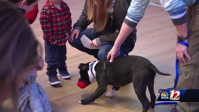 Greensboro Science Center teams up with animal rescue, foster programs for 'Fur-st Saturdays' - Vimarsana News