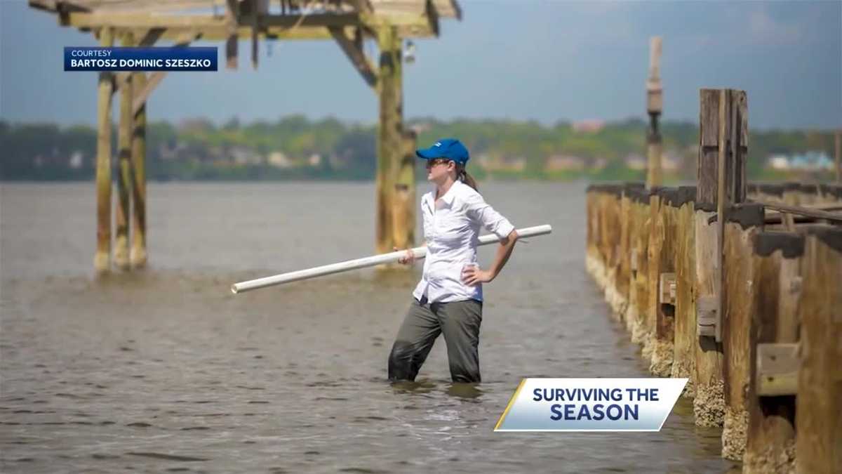 The surprising benefits of a hurricane to Florida's wetlands