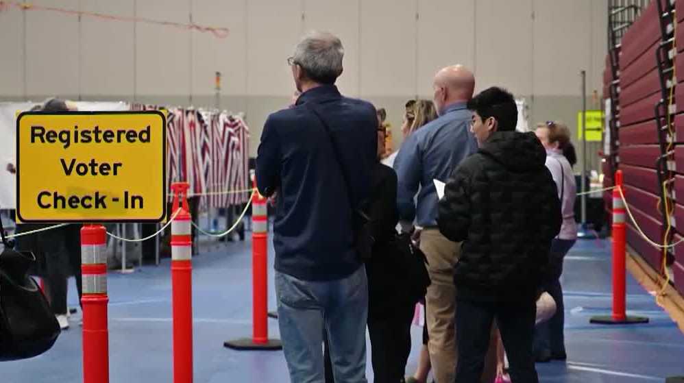 How to register to vote: Local elections for many NH communities set for next week