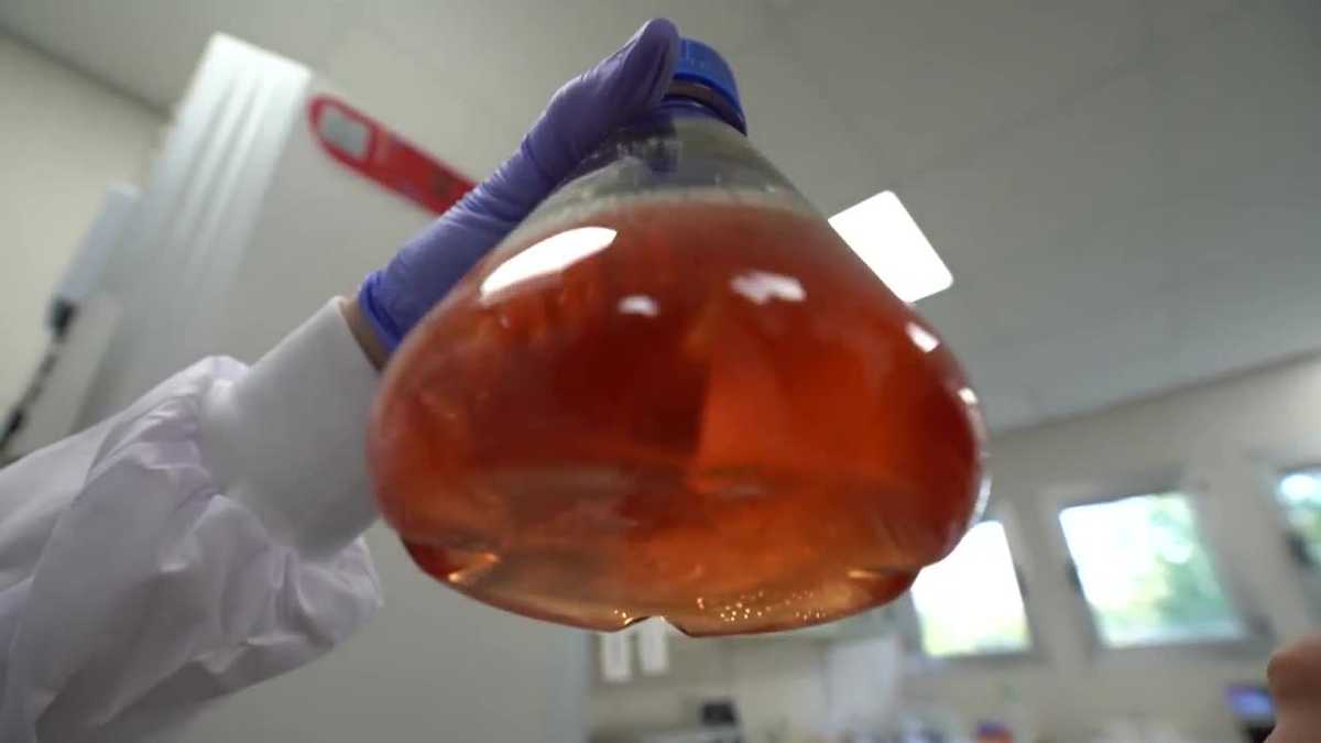 Kitchens experimenting with labgrown meat