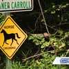 Liberty Reservoir mustang sparks safety concerns in Carroll County