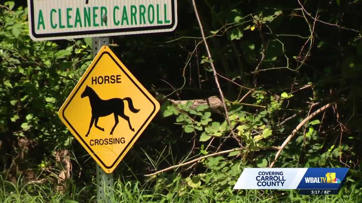 WBAL-TV 11 News at 5:00