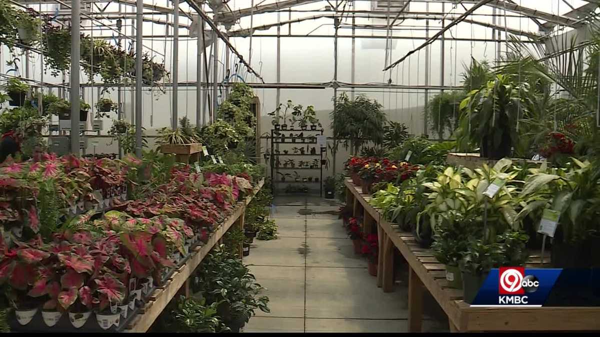 Demand outpacing supply on house plants during pandemic