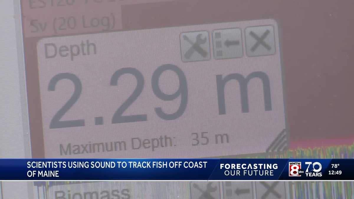 Researchers using sound waves to tell us what's swimming in Casco Bay