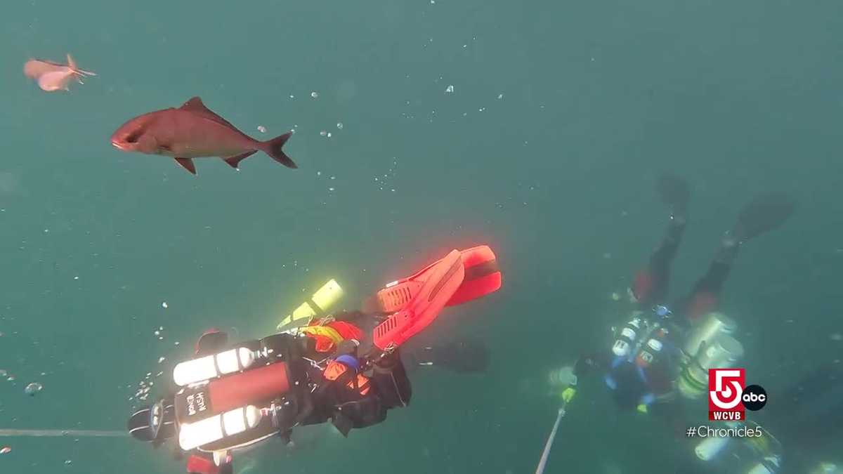 I sommozzatori cercano una nave affondata al largo delle coste del Massachusetts