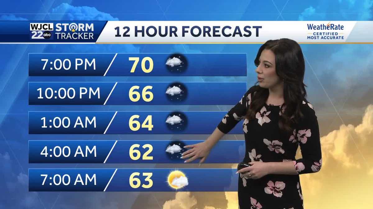 More highs in the 80s, but a cold front is arriving late this week - WJCL
