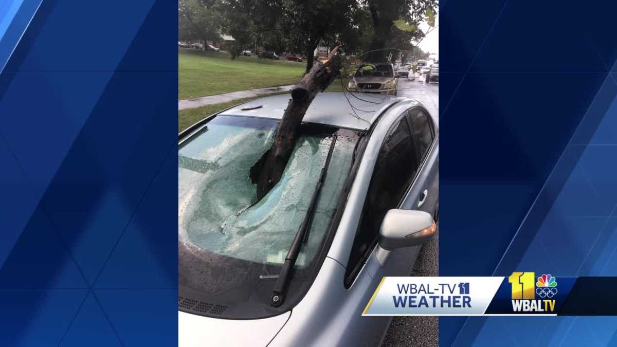 Baltimore man shares story of how tree limb crashed through windshield