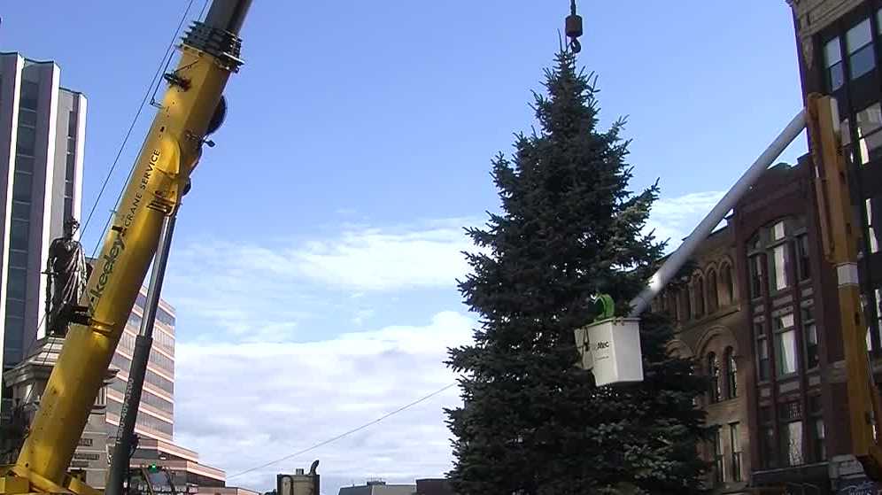 'Tis the season! Portland looking for Christmas tree
