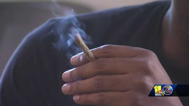 Baltimore County developing framework for recreational marijuana - Vimarsana News