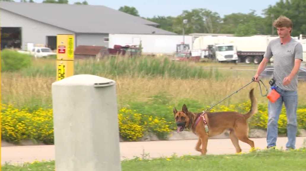 Ottumwa man walking 150 miles with shelter dogs to help them find homes