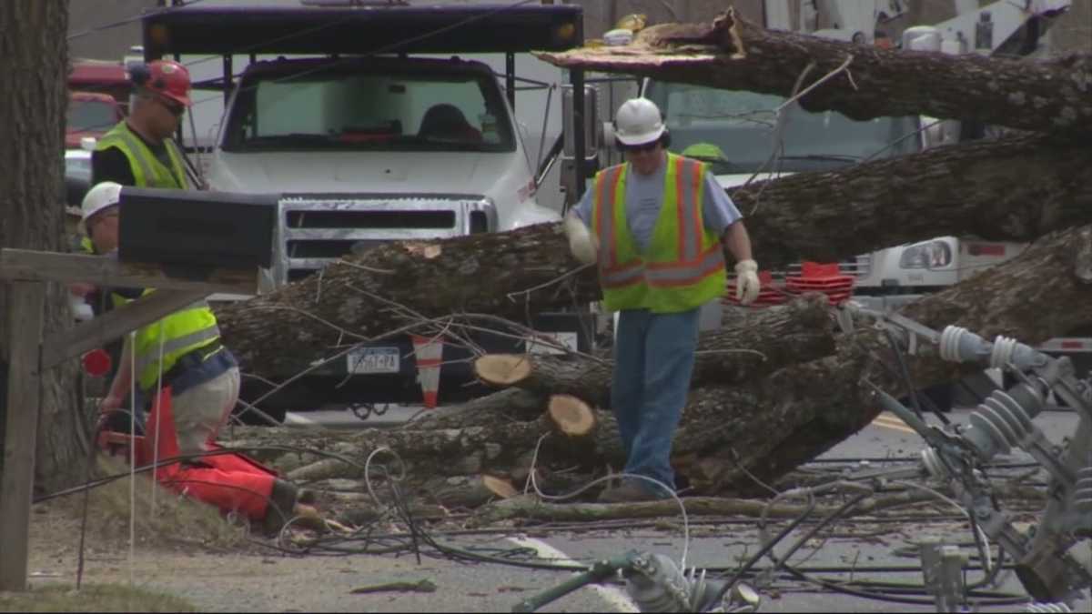Strong winds topple trees, bring down utility lines