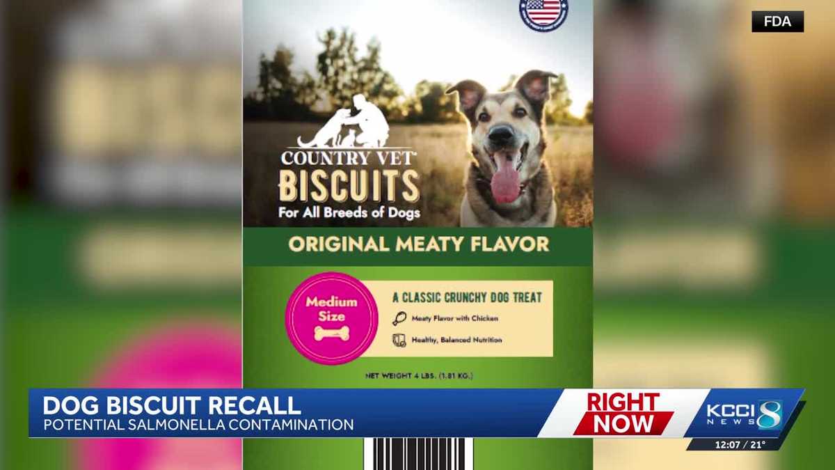 Dog treats recalled in Iowa due to salmonella risk