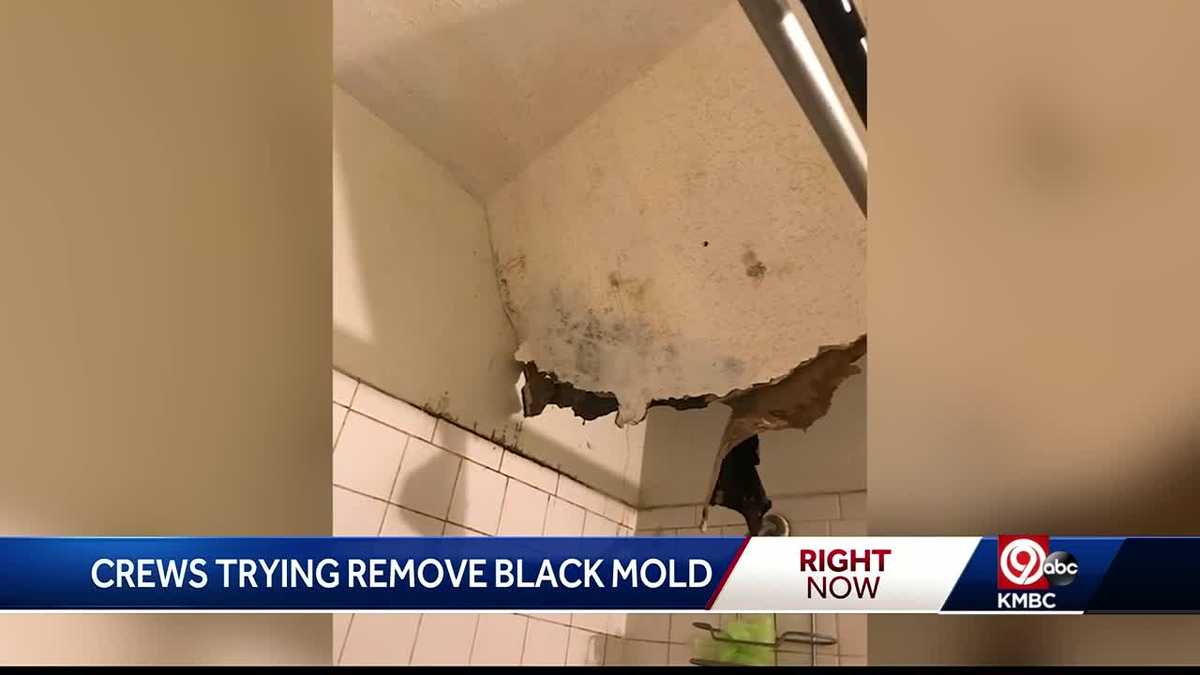 Residents displaced after black mold investigation in the Northland
