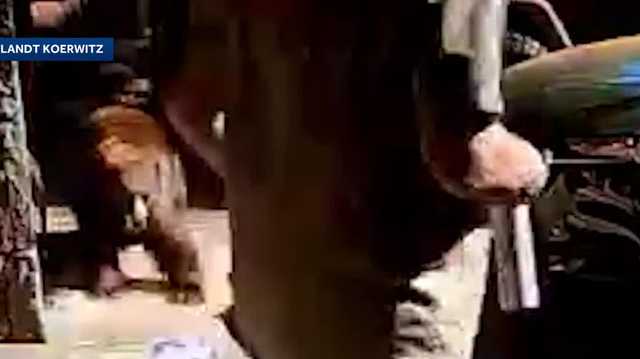 Sacramento man describes bear charging at him outside Lake Tahoe vacation home