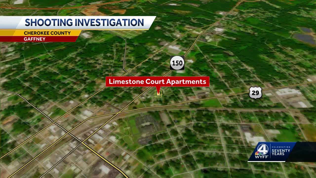 South Carolina: 14-year-old critically injured in shooting - Vimarsana News