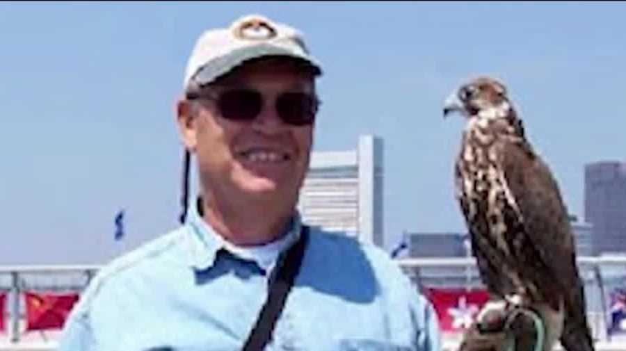 Falconer called for rescue after falling through ice