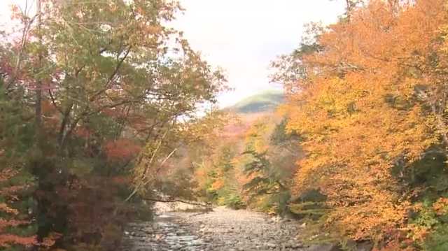 Brilliant NH fall foliage attracts crowds over holiday weekend - Vimarsana News