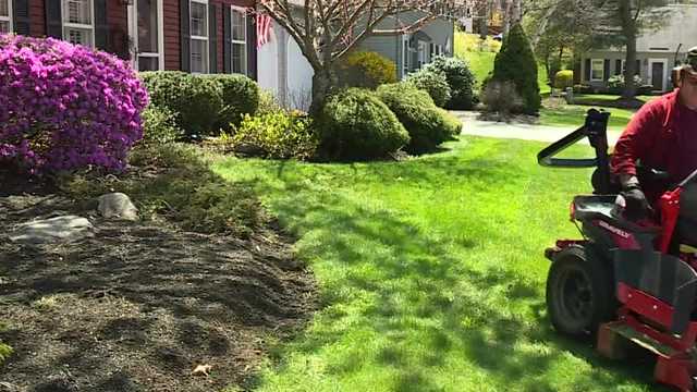 South Portland city council considers a ban on gas-powered lawn tools - Vimarsana News