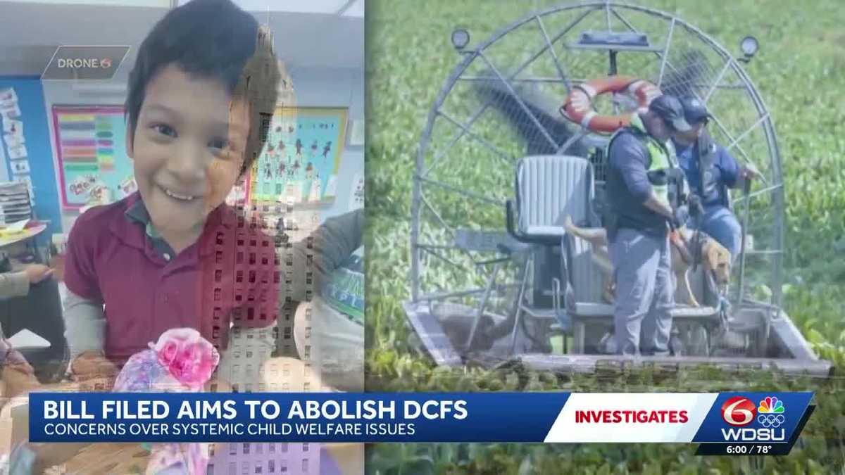 Louisiana senator proposes bill abolishing Department of Children and Family Services